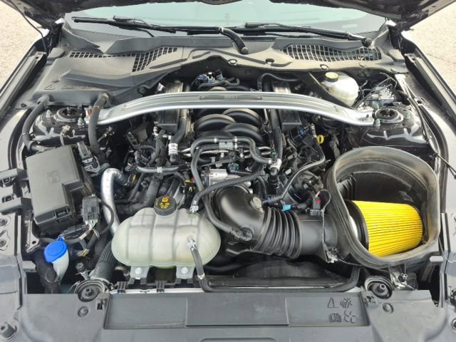 Used 2022 Ford Mustang Mach 1 w/ Equipment Group 700A image 19