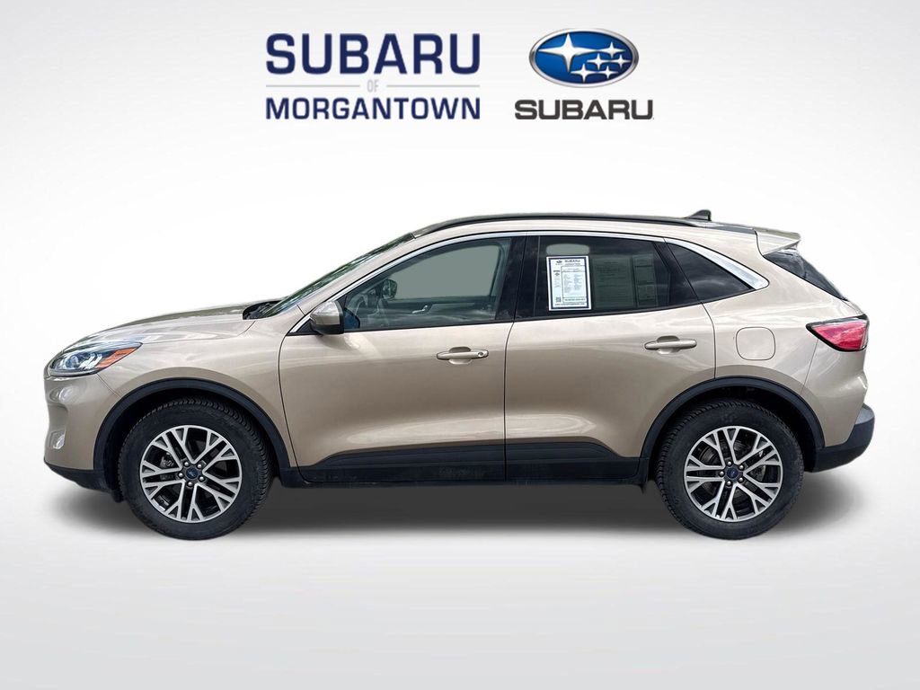 Used 2021 Ford Escape SEL AWD/4WD 360° Tour
