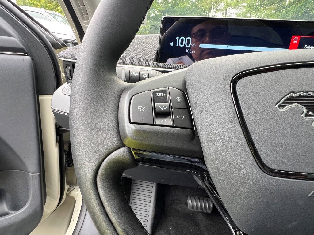 New 2025 Ford Mustang Mach-E Premium w/ Interior Protection Package image 21