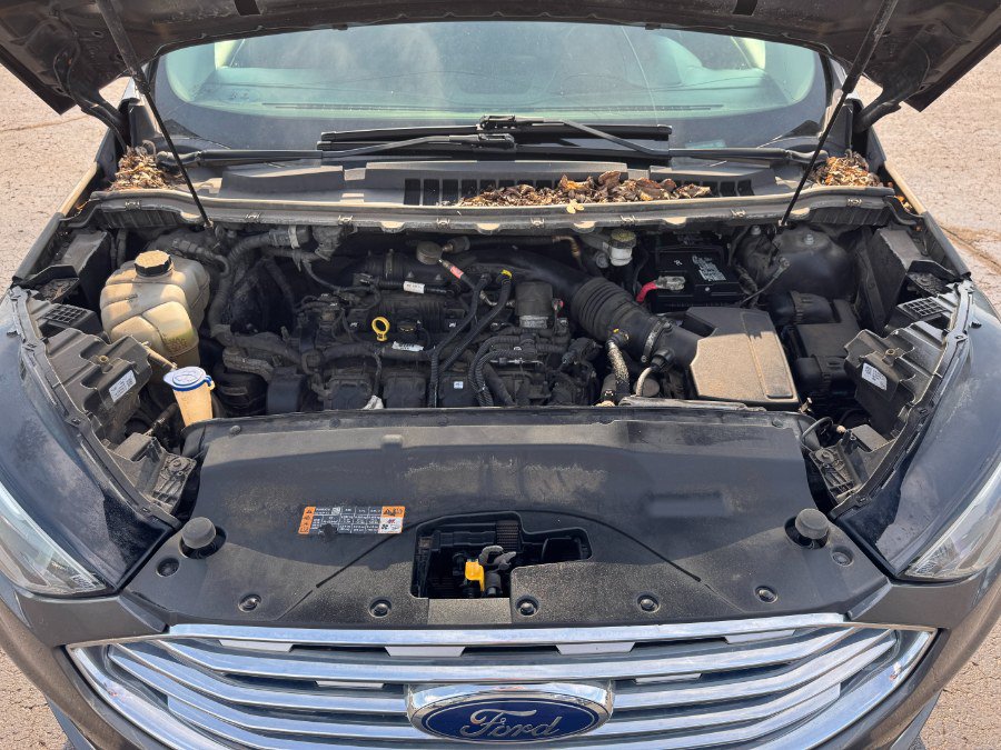 Used 2019 Ford Edge SEL w/ Equipment Group 201A AWD/4WD image 23