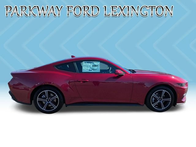 New 2025 Ford Mustang Coupe image 4