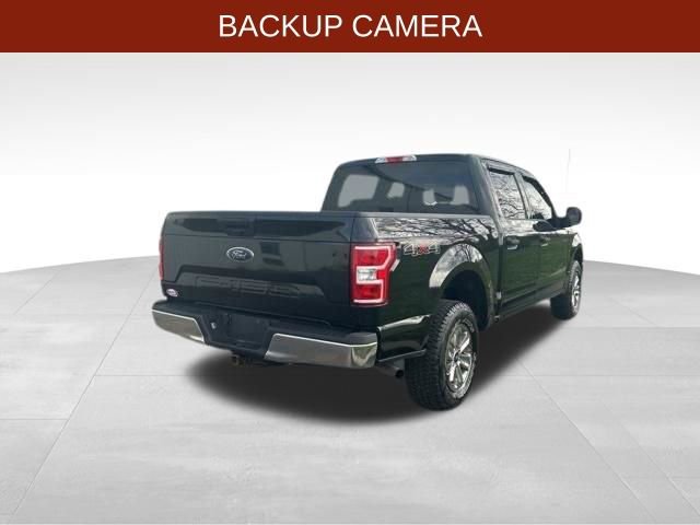Used 2019 Ford F150 XLT w/ Equipment Group 301A Mid AWD/4WD image 7