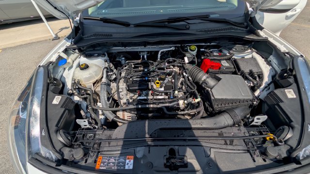 Used 2020 Ford Escape SE AWD/4WD image 18