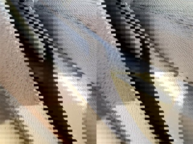 Used 2024 Toyota Corolla LE image 21