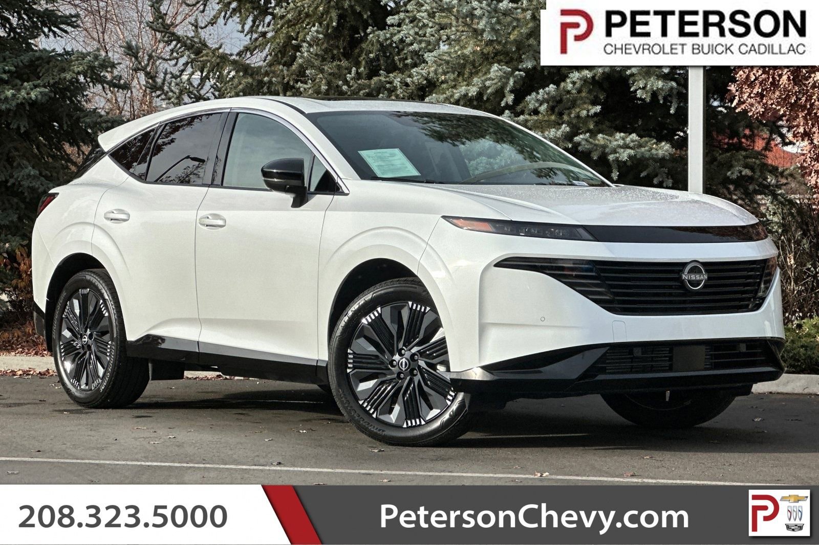 Used 2025 Nissan Murano Platinum image 1