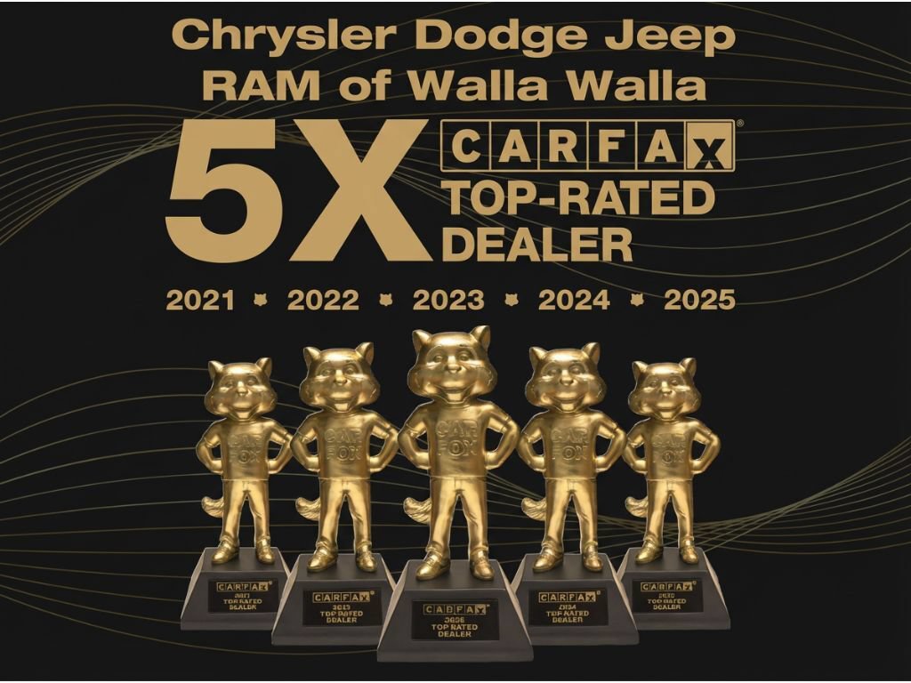 Used 2018 Chrysler Pacifica Touring-L FWD image 10