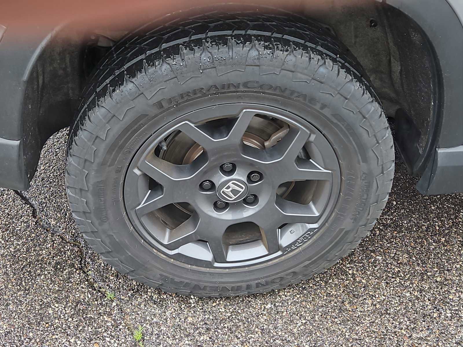 Certified 2025 Honda Pilot TrailSport image 9