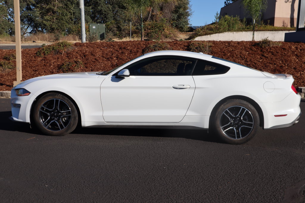 Used 2019 Ford Mustang Coupe w/ Equipment Group 101A RWD image 8