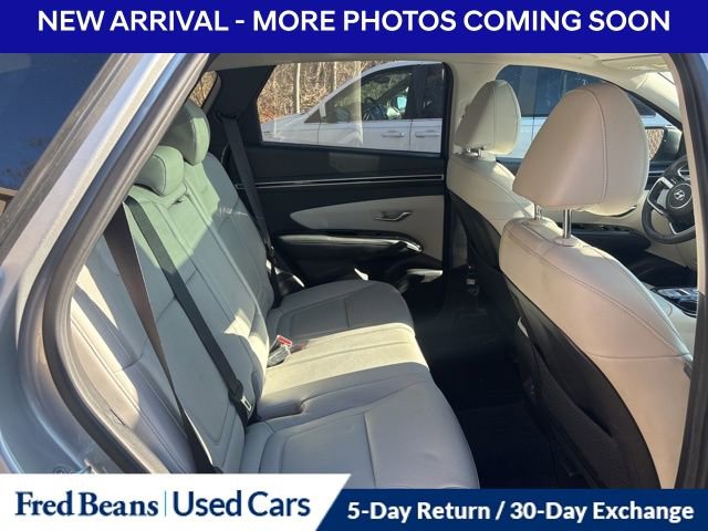 Used 2023 Hyundai Tucson Limited image 11