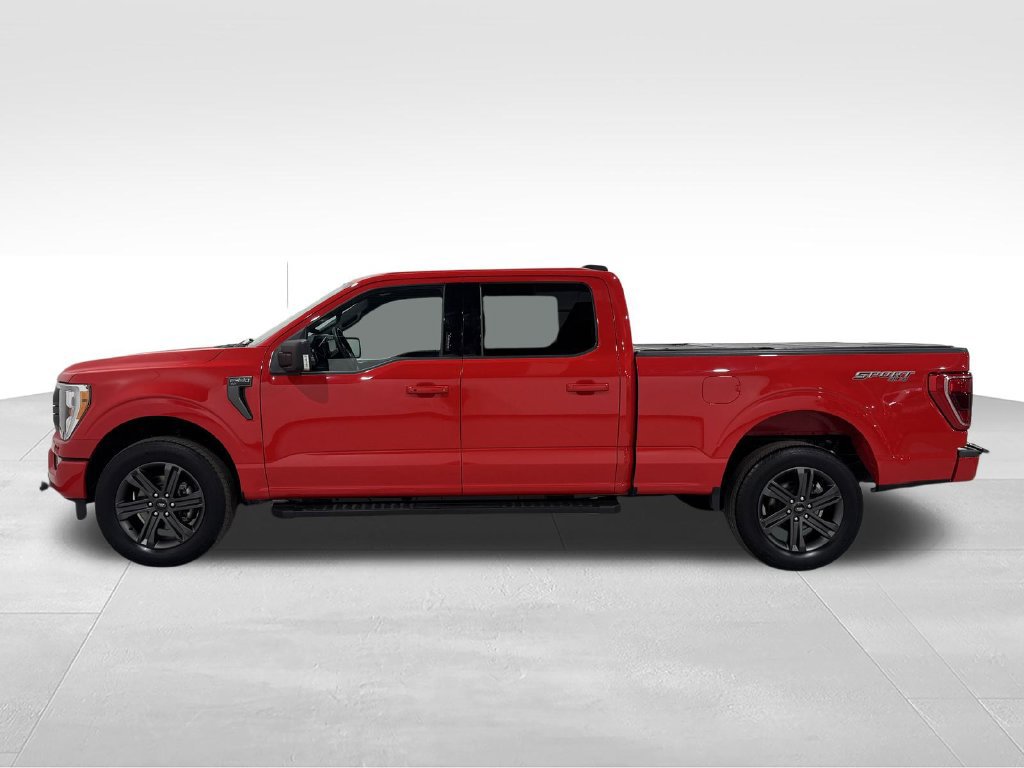 Used 2023 Ford F150 XLT w/ Equipment Group 302A High AWD/4WD image 12
