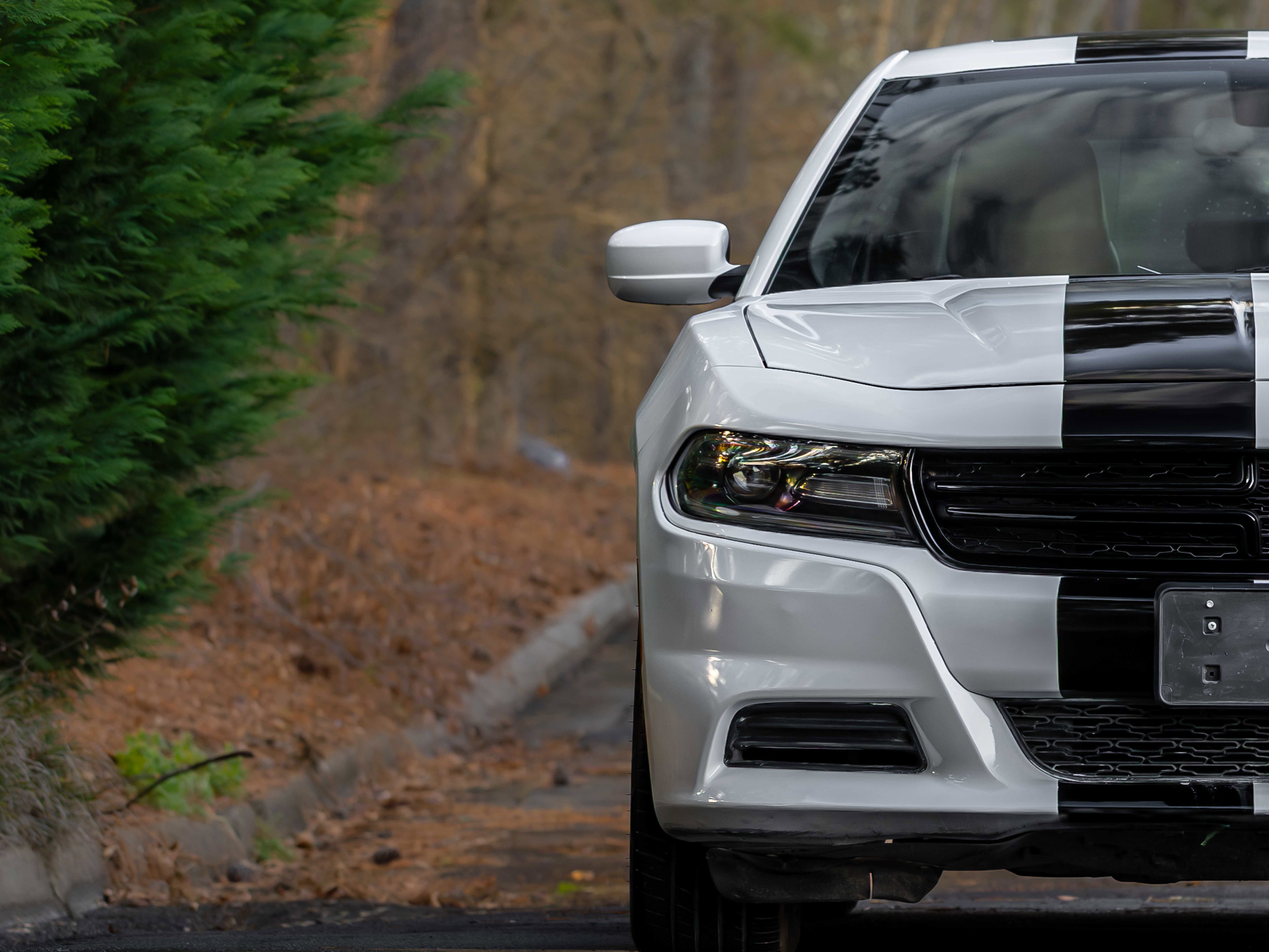 Used 2019 Dodge Charger SXT w/ Leather Interior Group image 35