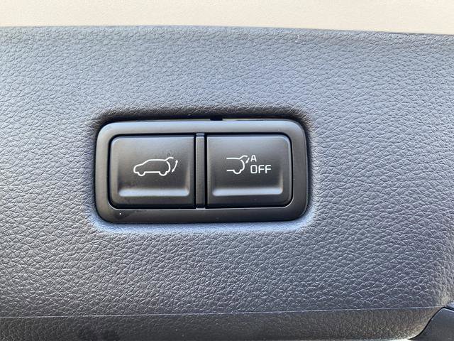 New 2026 Kia Carnival EX image 17