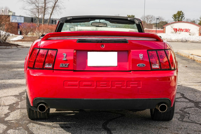 Used 1999 Ford Mustang Cobra image 7