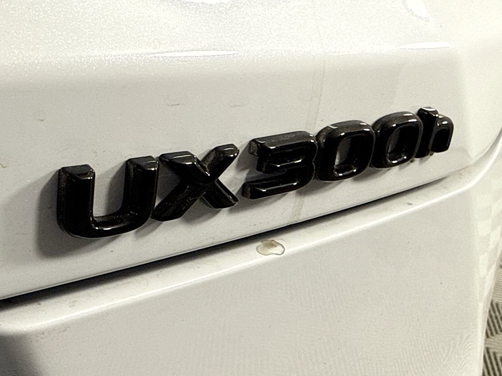 New 2025 Lexus UX 300h FWD image 22
