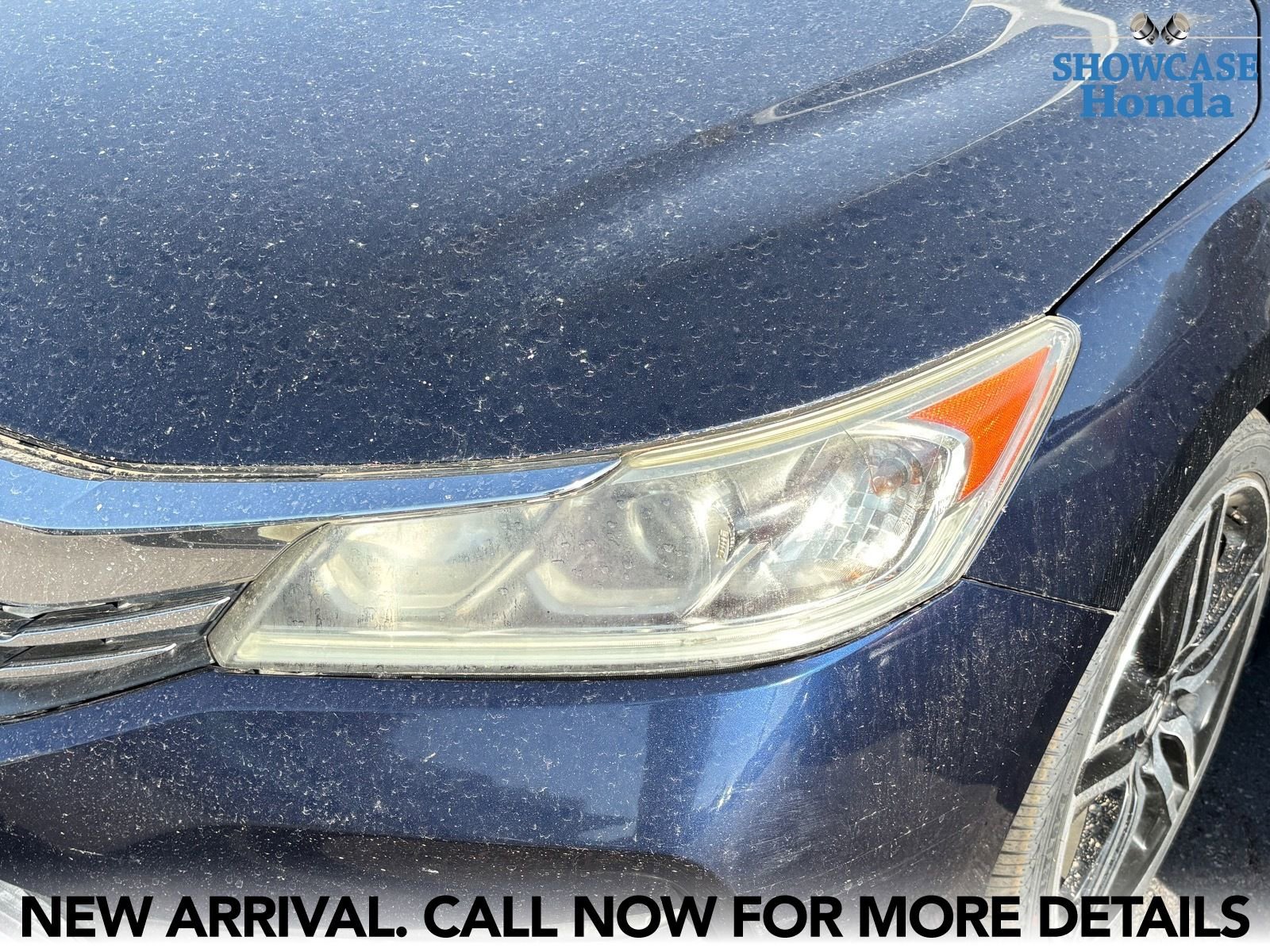 Used 2017 Honda Accord Sport Special Edition image 8