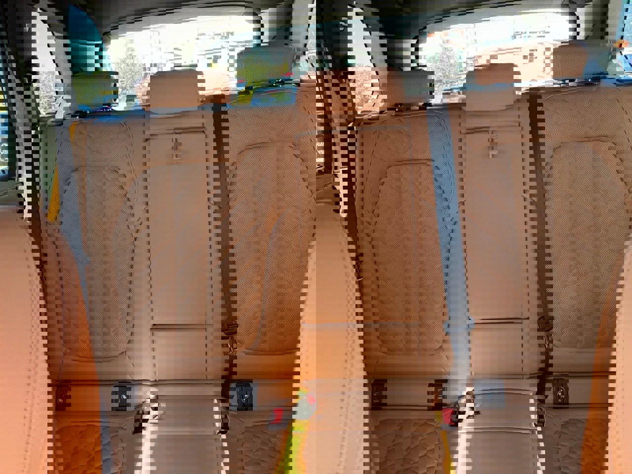 Certified 2024 BMW X5 xDrive40i w/ Premium Package image 14