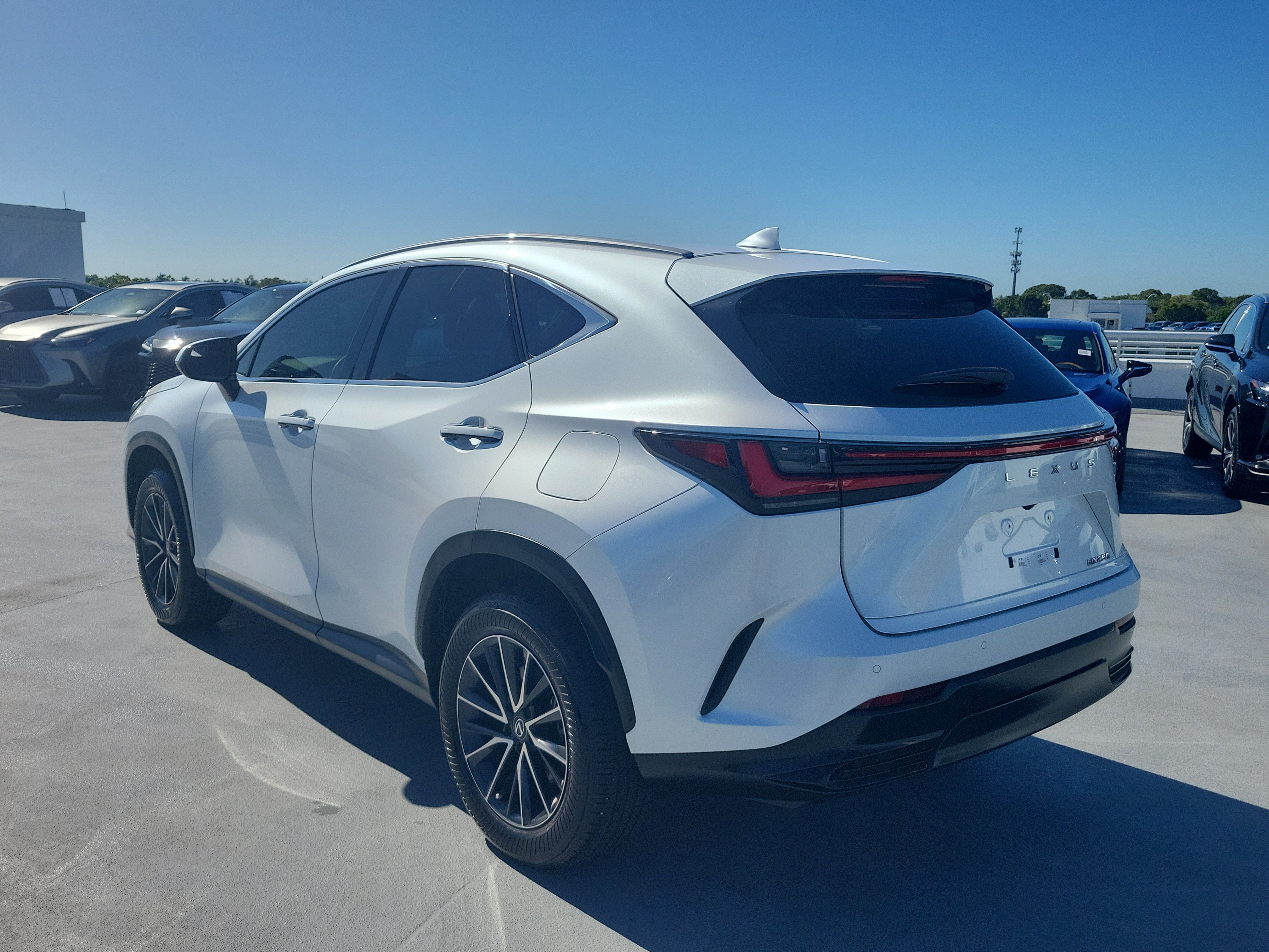Certified 2024 Lexus NX 250 FWD image 4