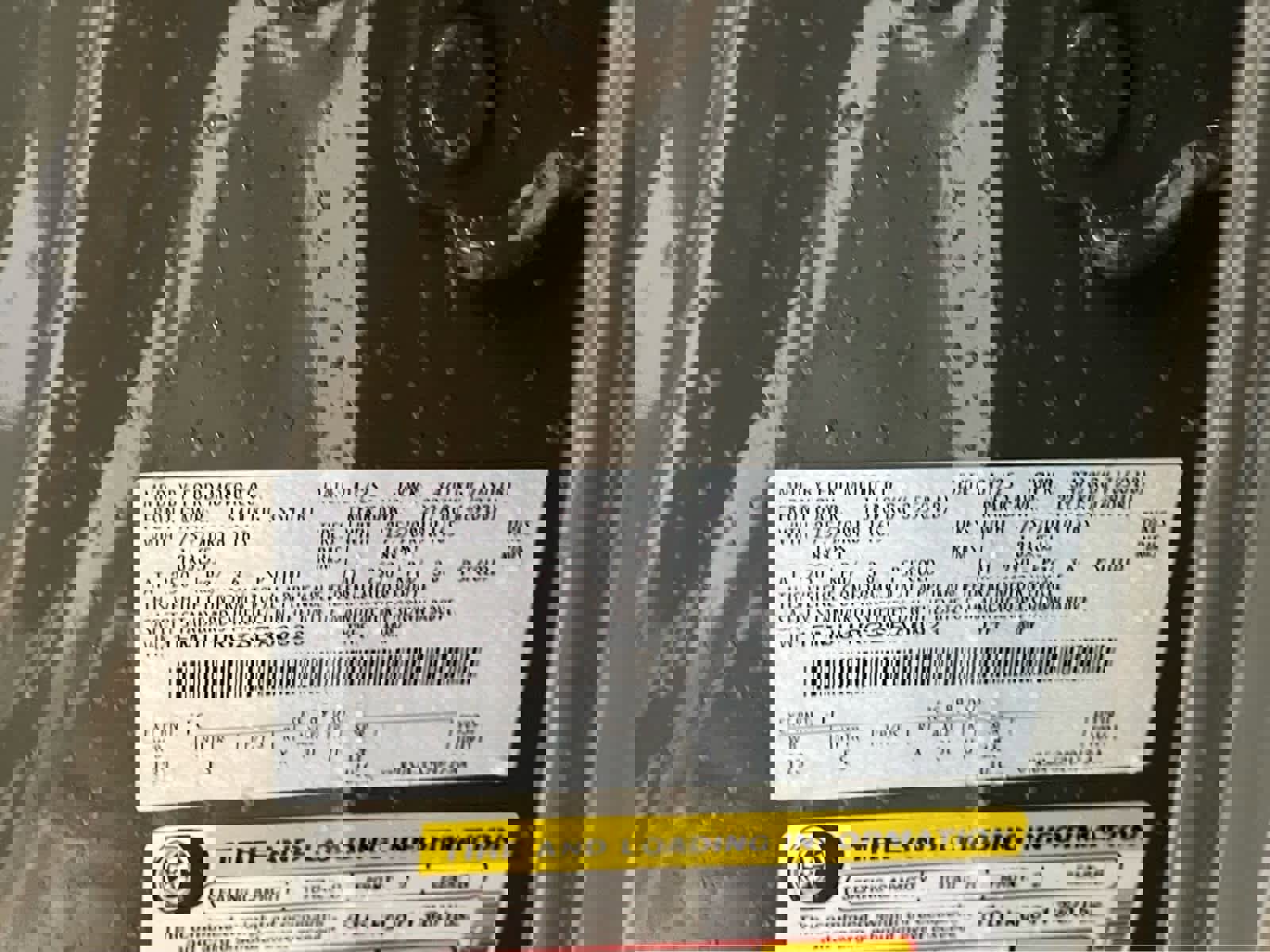 Used 2025 Ford Expedition Tremor AWD/4WD image 21