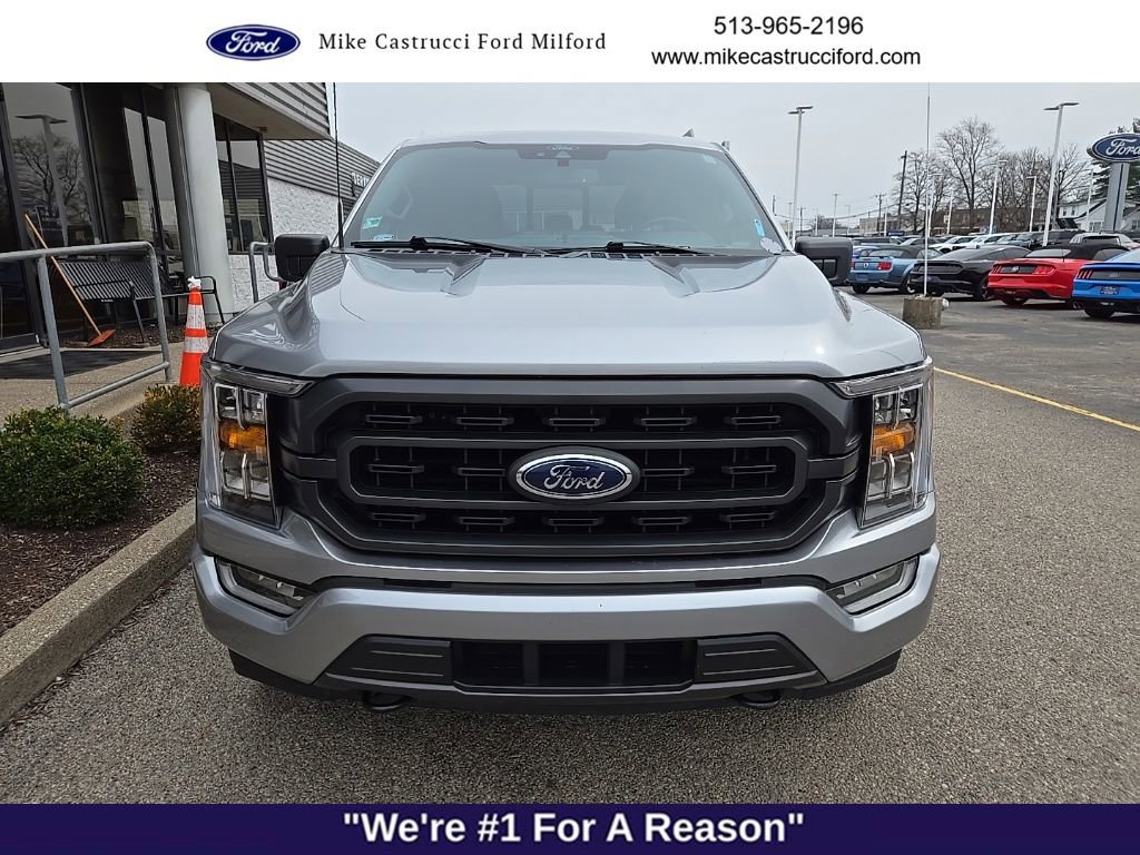 Used 2021 Ford F150 XLT w/ Equipment Group 302A High image 2