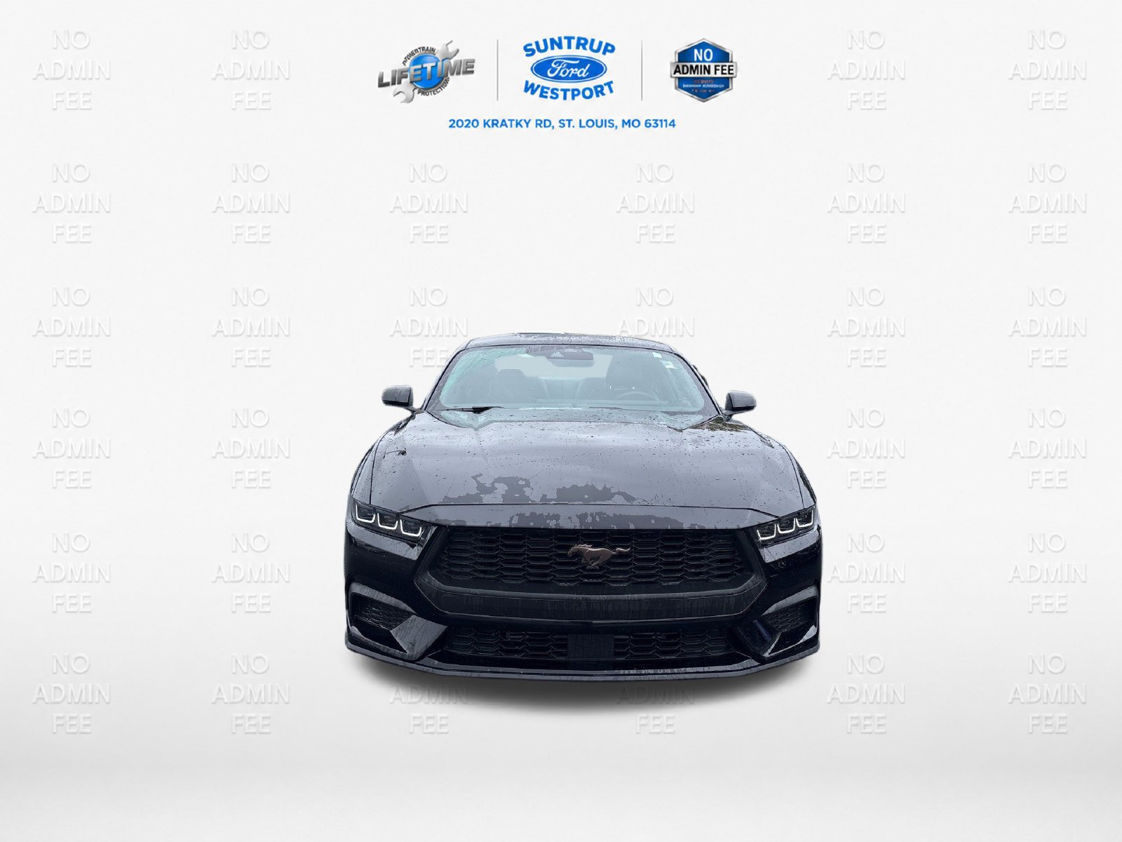 Used 2025 Ford Mustang Premium RWD image 9