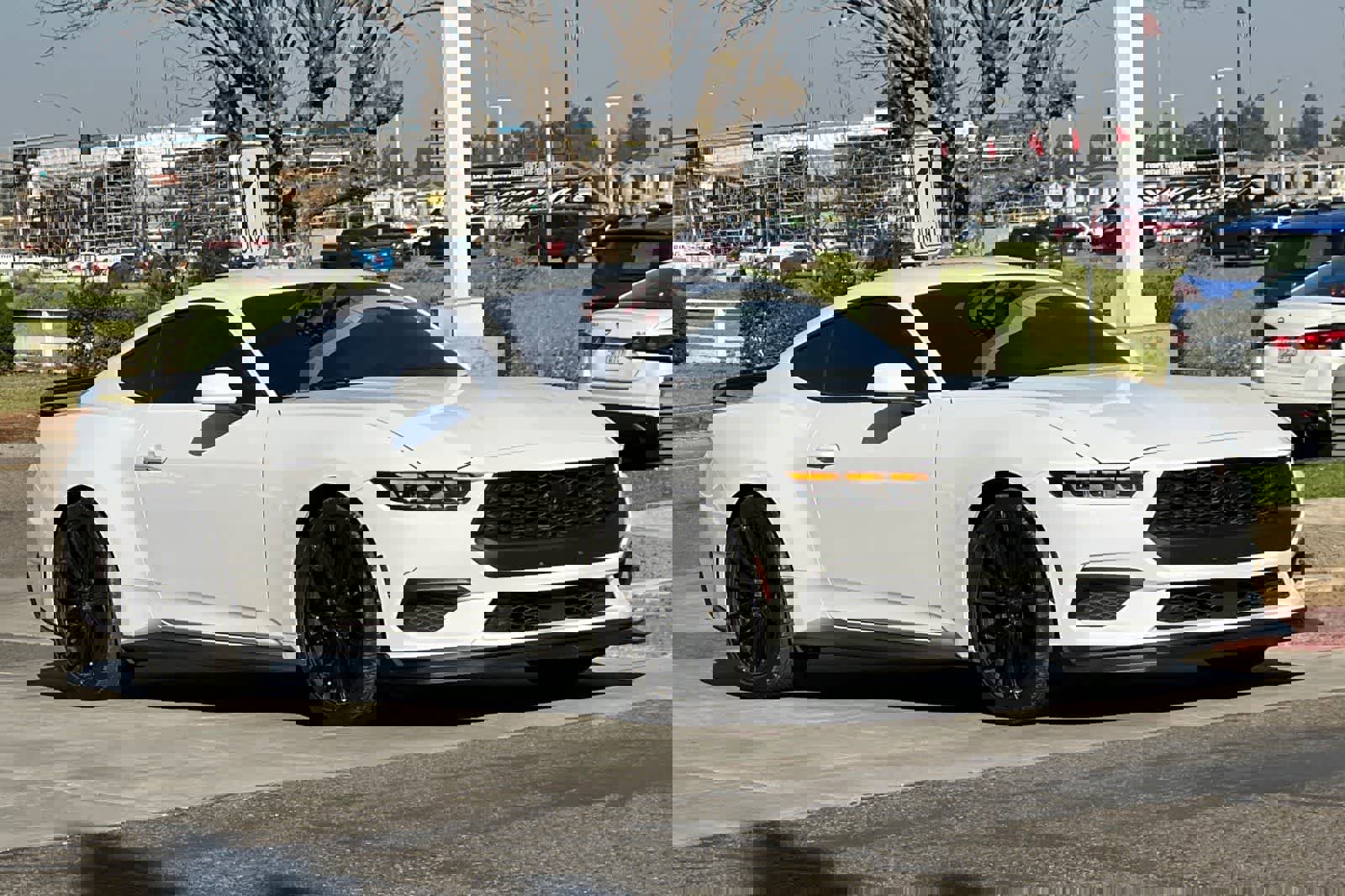 Used 2024 Ford Mustang EcoBoost image 10