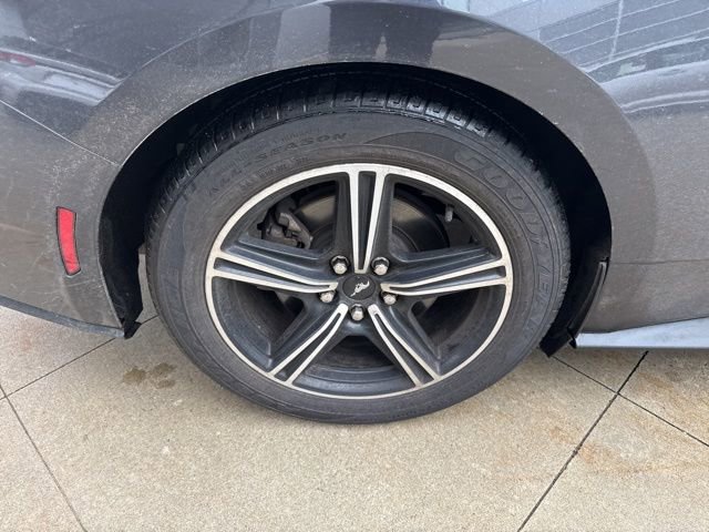 Used 2024 Ford Mustang Premium image 9