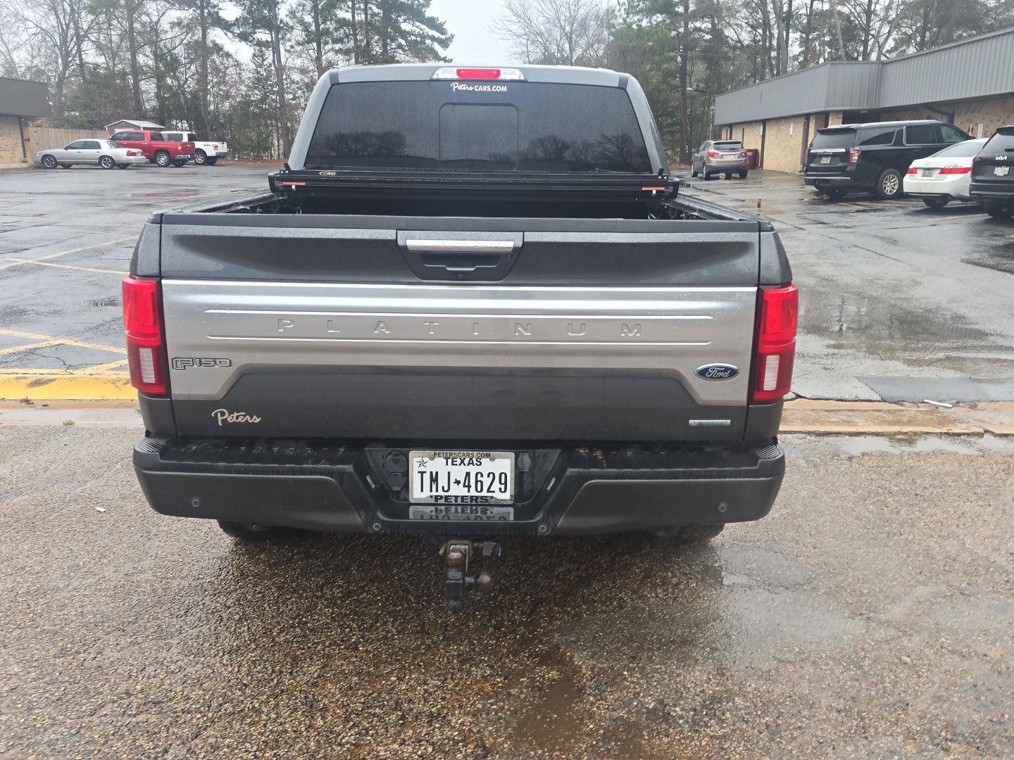 Used 2019 Ford F150 Platinum w/ Equipment Group 701A Luxury image 12