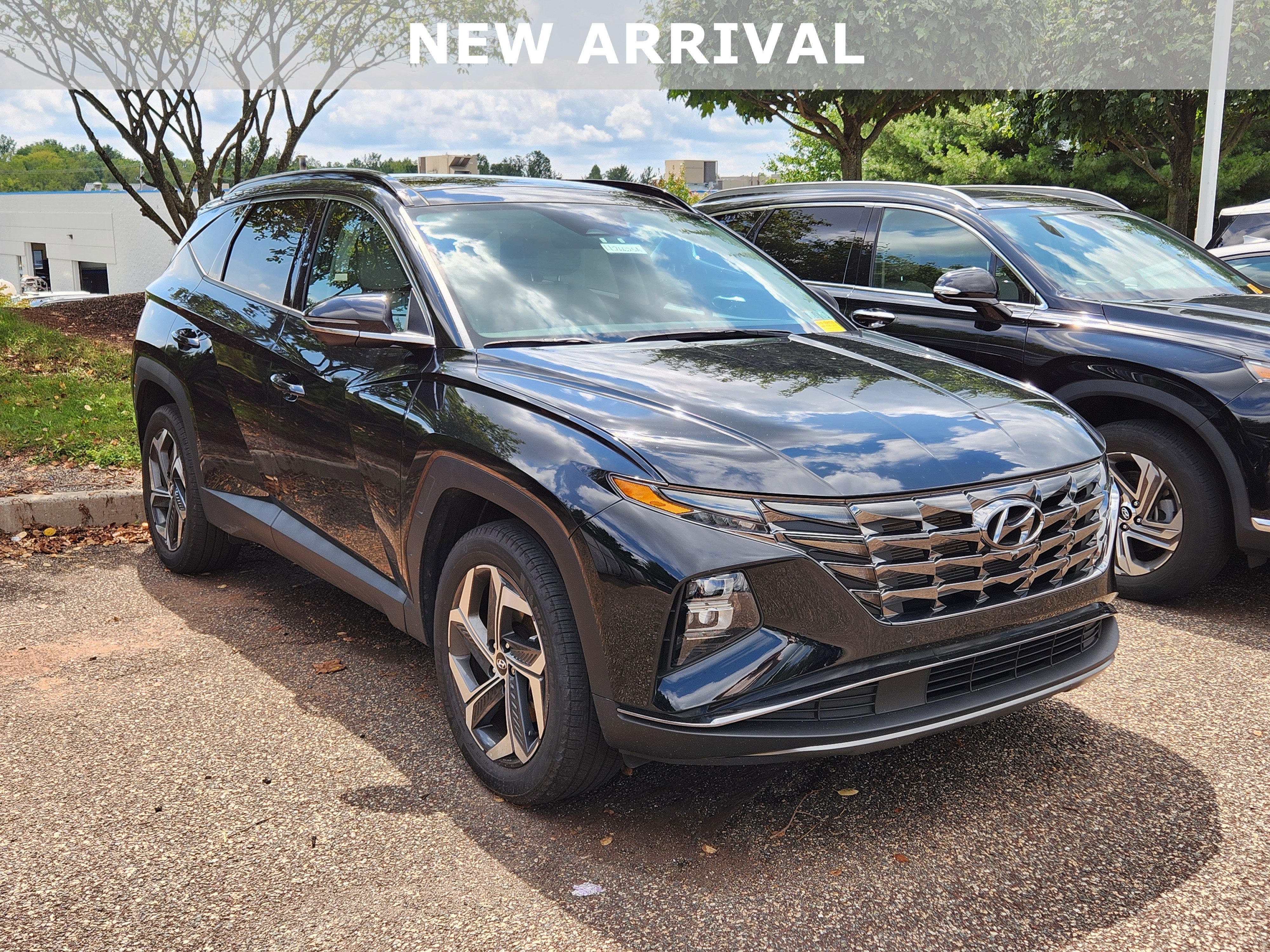 Certified 2024 Hyundai Tucson Limited AWD/4WD image 1