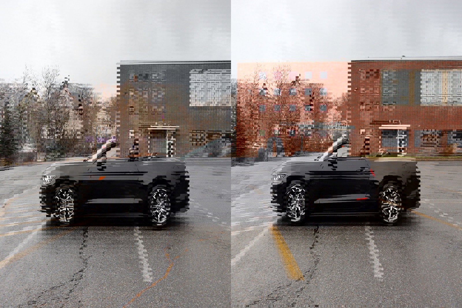 Used 2015 Ford Mustang Premium image 38