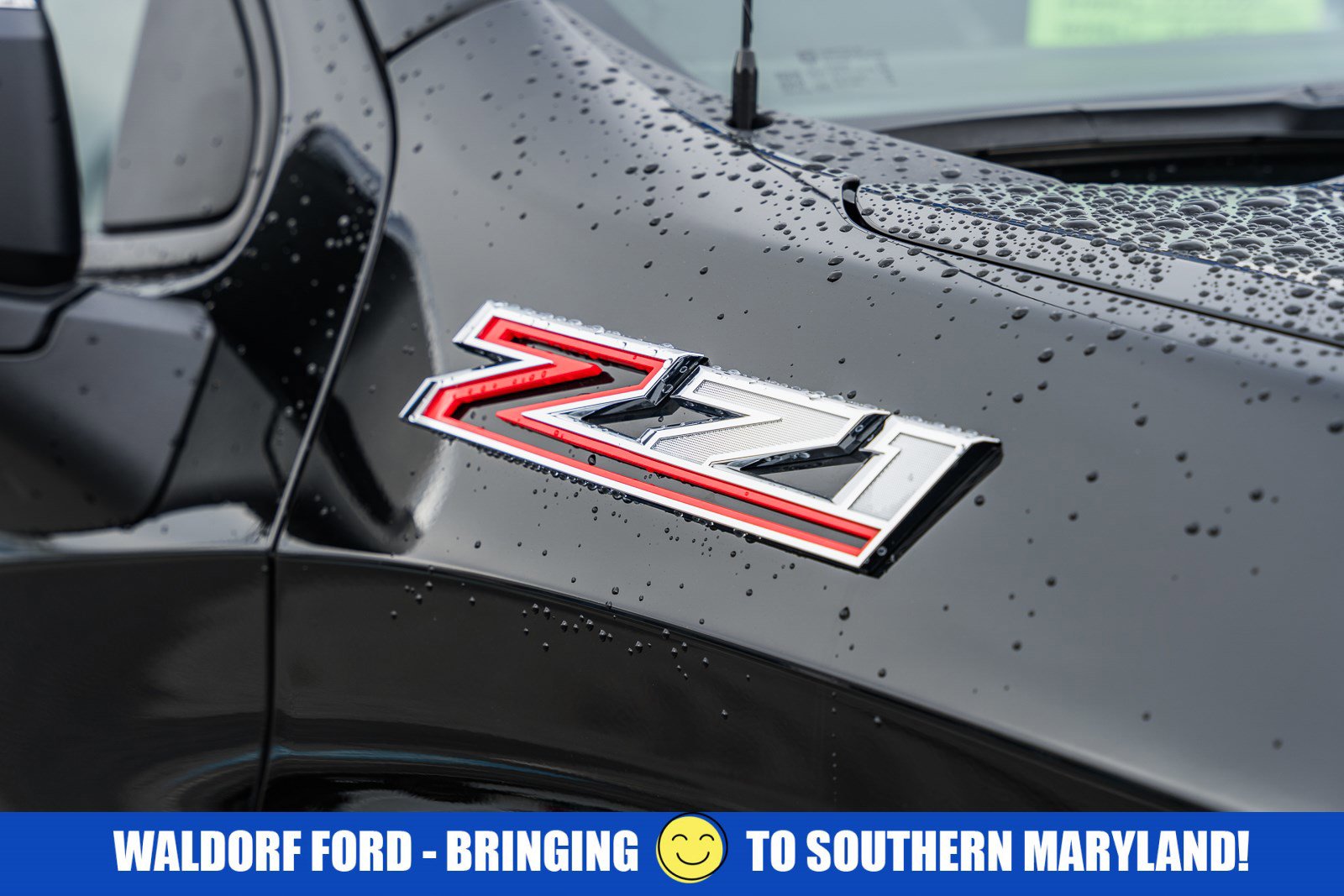 Used 2025 Chevrolet Silverado 1500 LT w/ All Star Edition Plus image 15