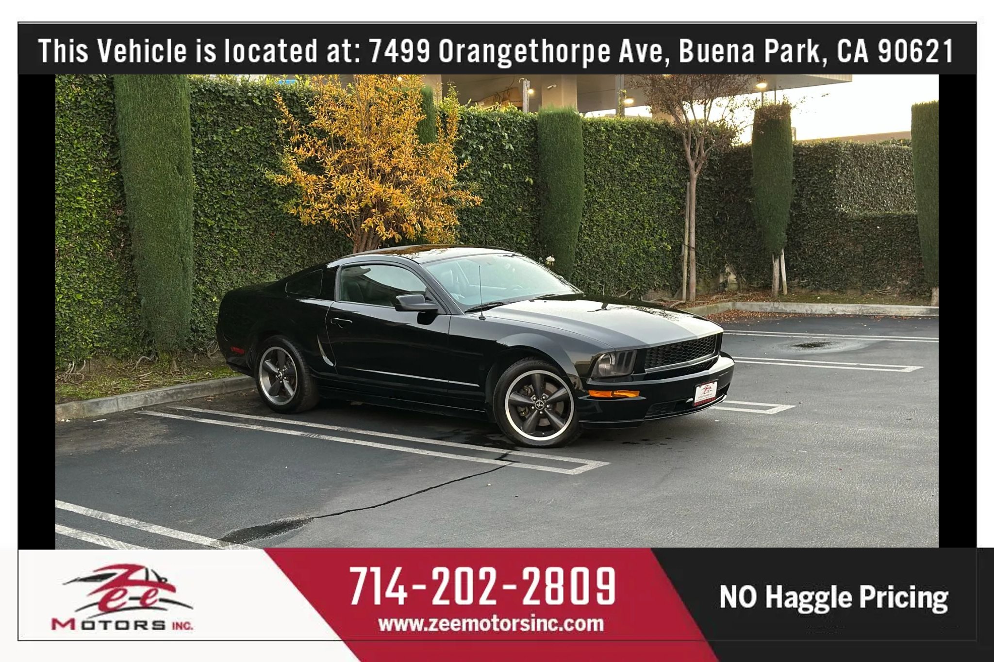 Used 2009 Ford Mustang GT Premium image 2