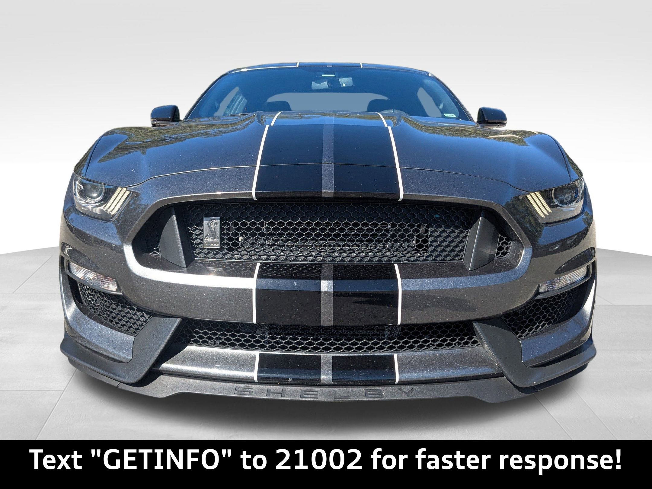 Used 2016 Ford Mustang Shelby GT350 w/ Technology Package image 7