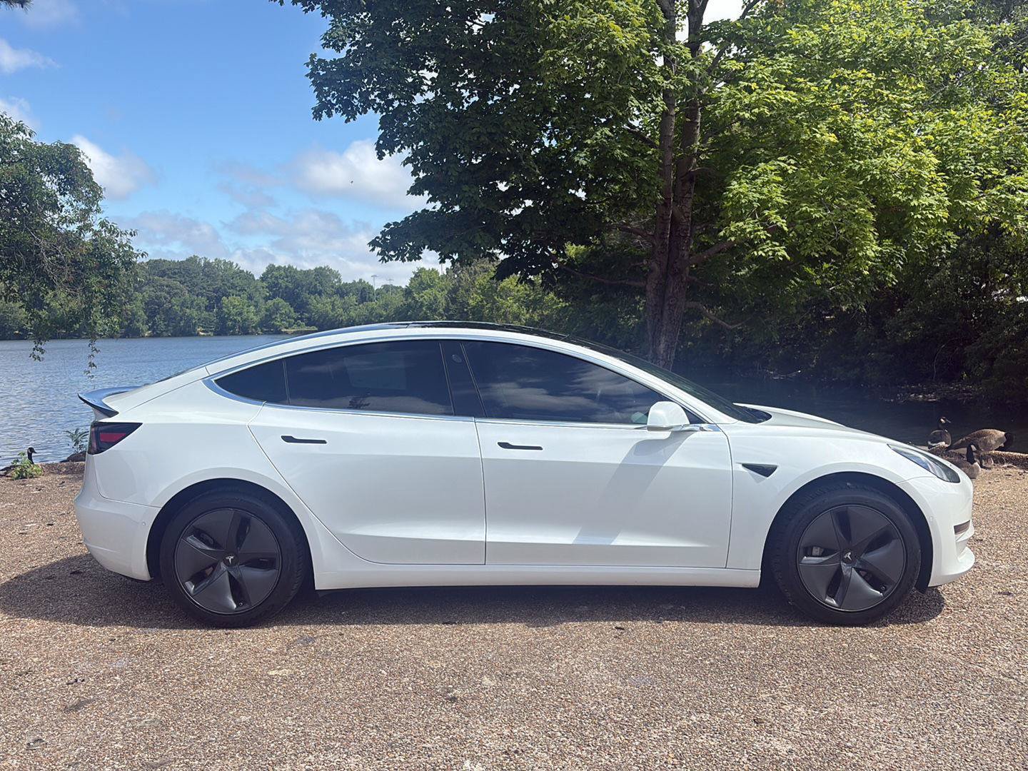 Used 2019 Tesla Model 3 Standard Range RWD image 3