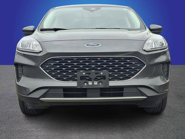 Used 2020 Ford Escape SE image 2