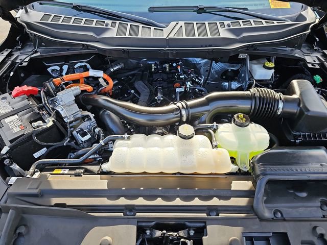 Used 2024 Ford F150 XLT w/ Equipment Group 302A MID image 31