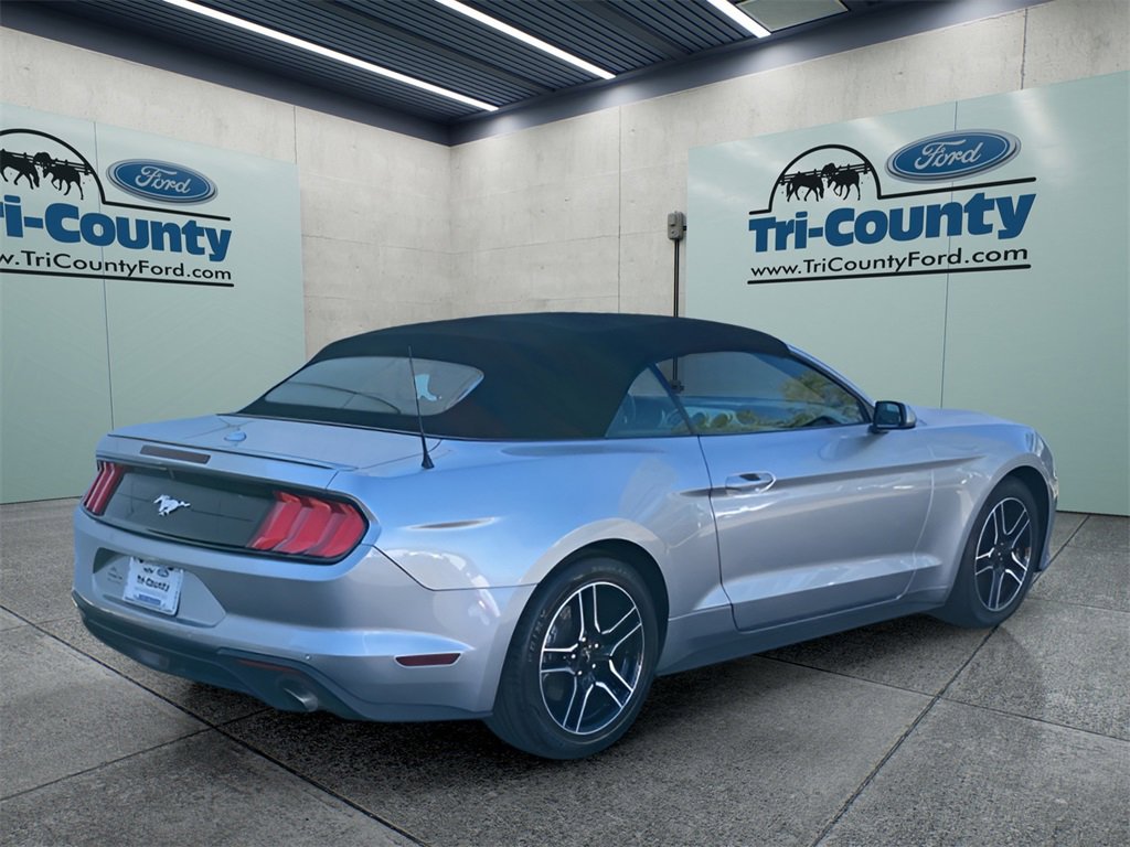 Used 2022 Ford Mustang Premium image 7