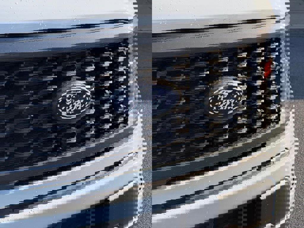 New 2025 Ford F150 STX w/ Equipment Group 200A image 12