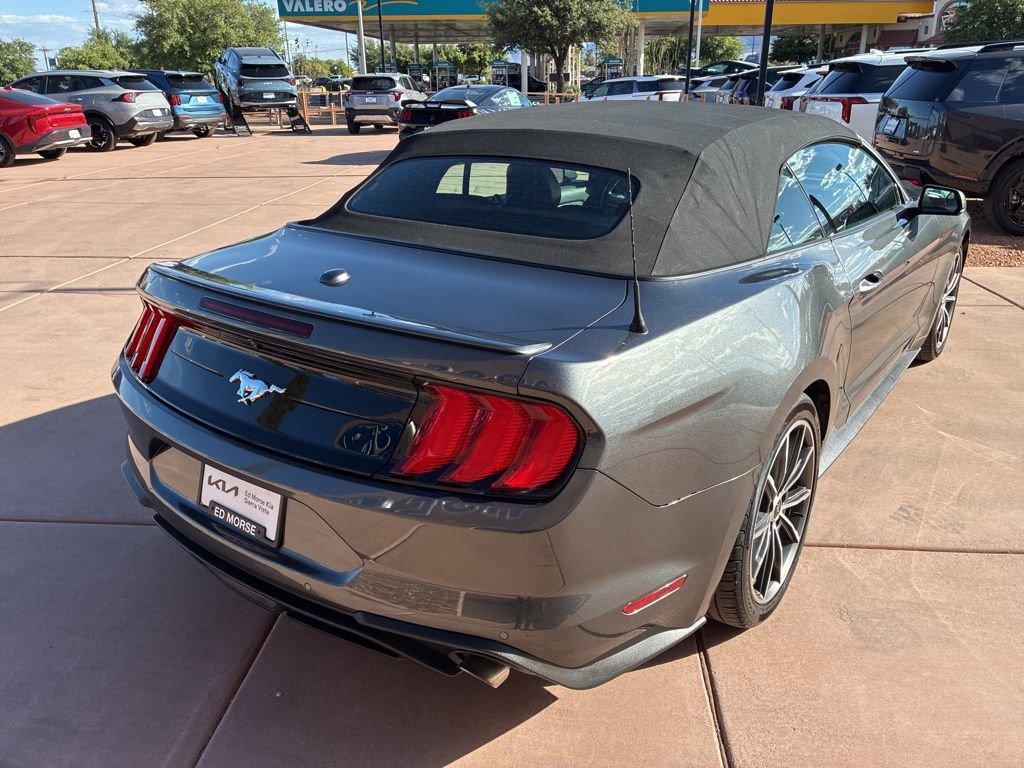 Certified 2019 Ford Mustang Premium w/ Equipment Group 201A image 8