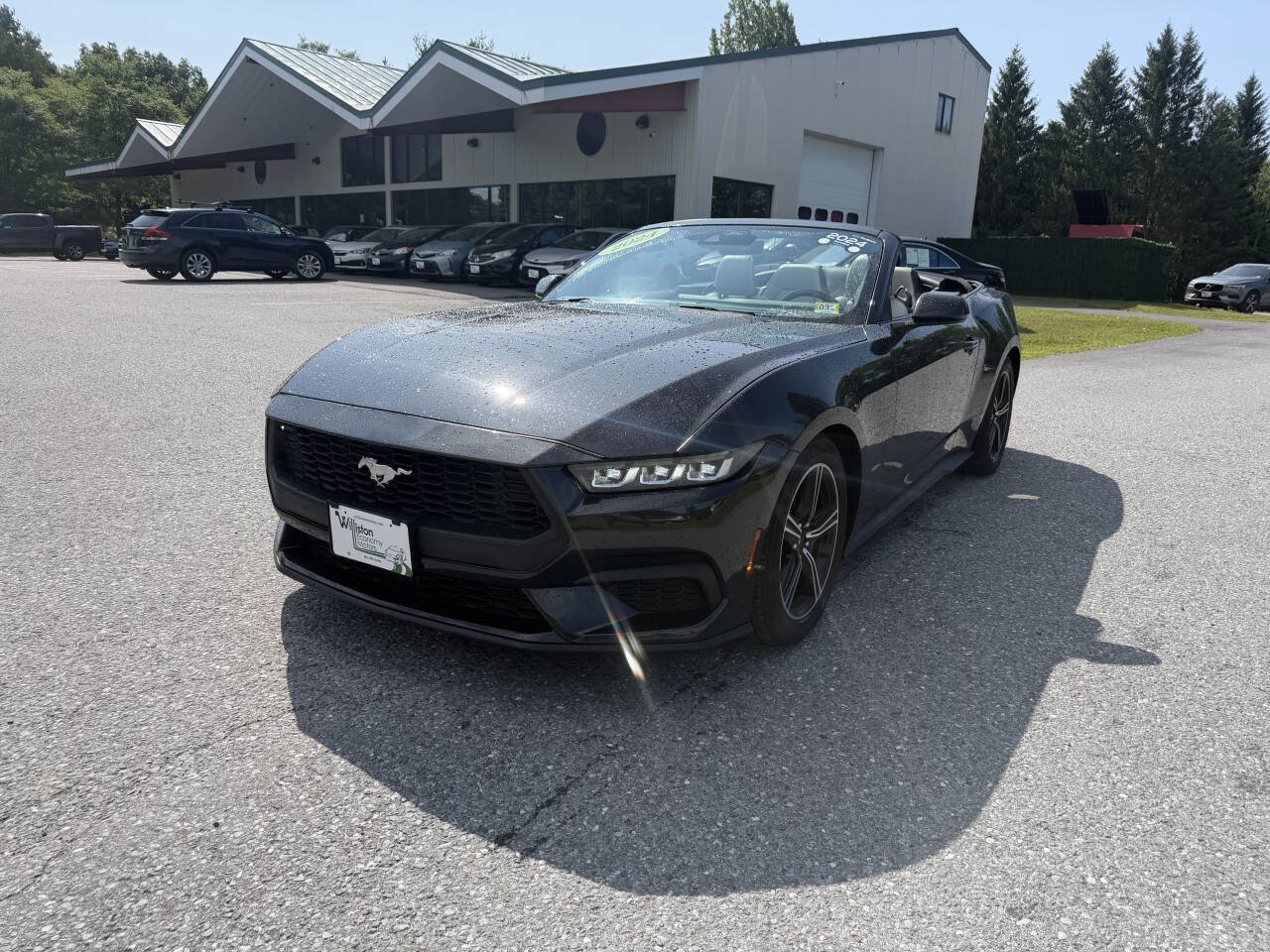 Used 2024 Ford Mustang Premium
