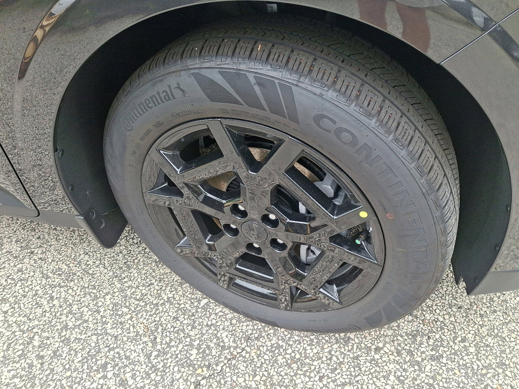 New 2026 Kia Carnival SX image 4