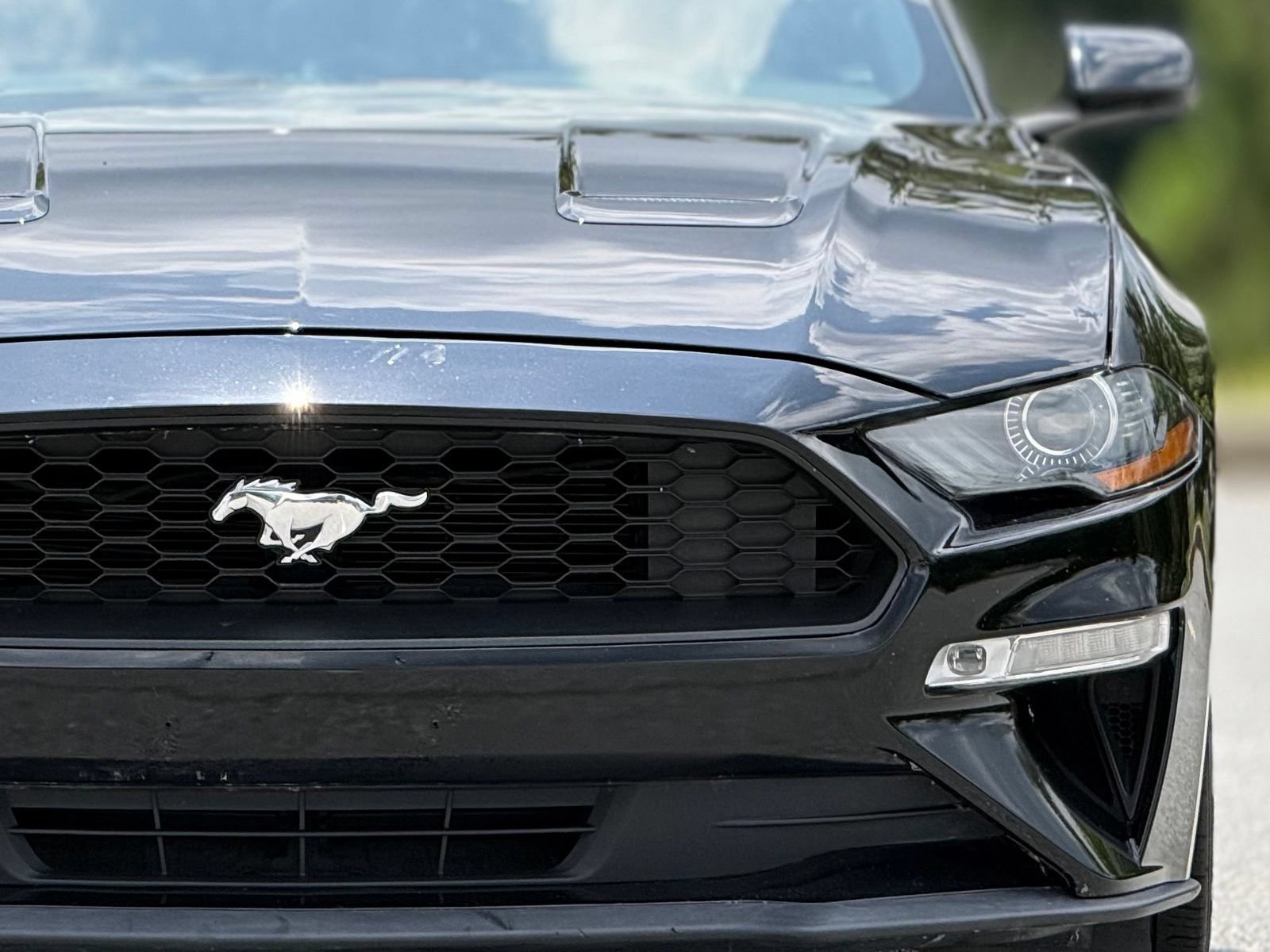 Used 2019 Ford Mustang Premium RWD image 15