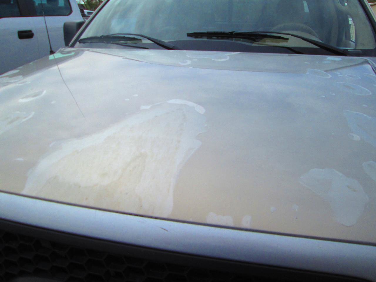 Used 2006 Ford F150 Lariat AWD/4WD image 10