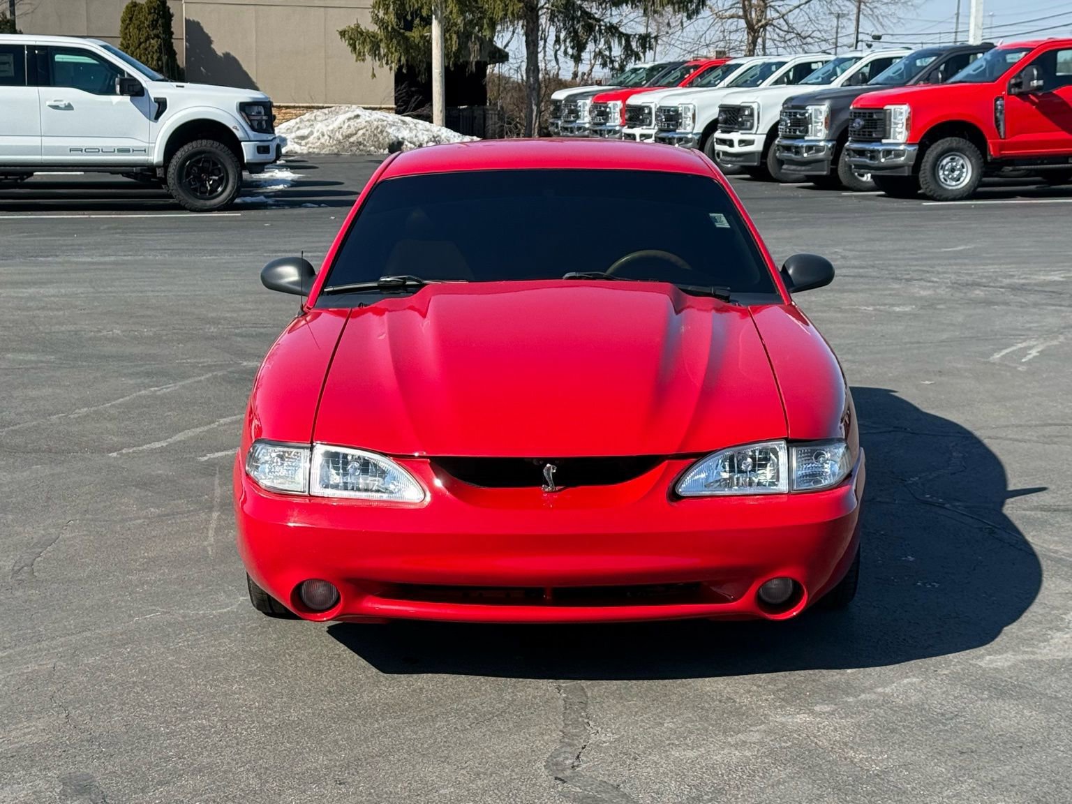 Used 1994 Ford Mustang Cobra image 8