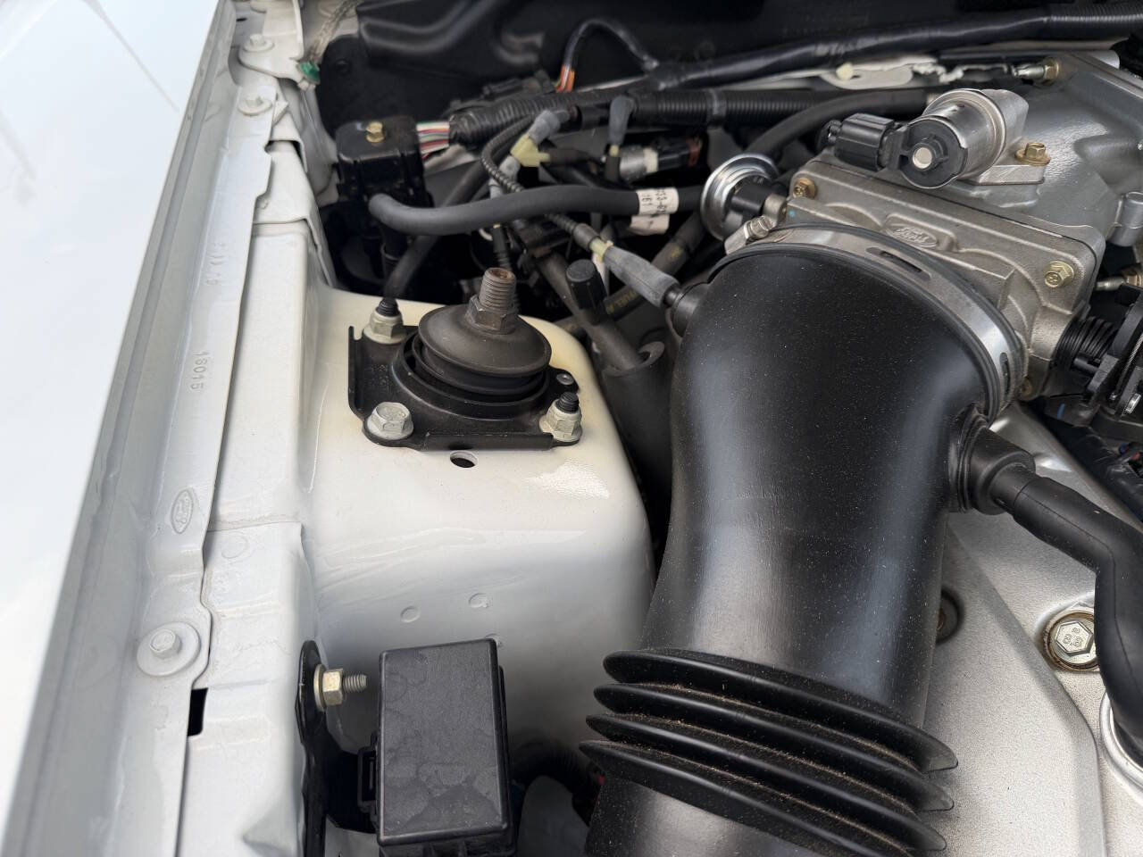Used 2003 Ford Mustang Cobra RWD image 24