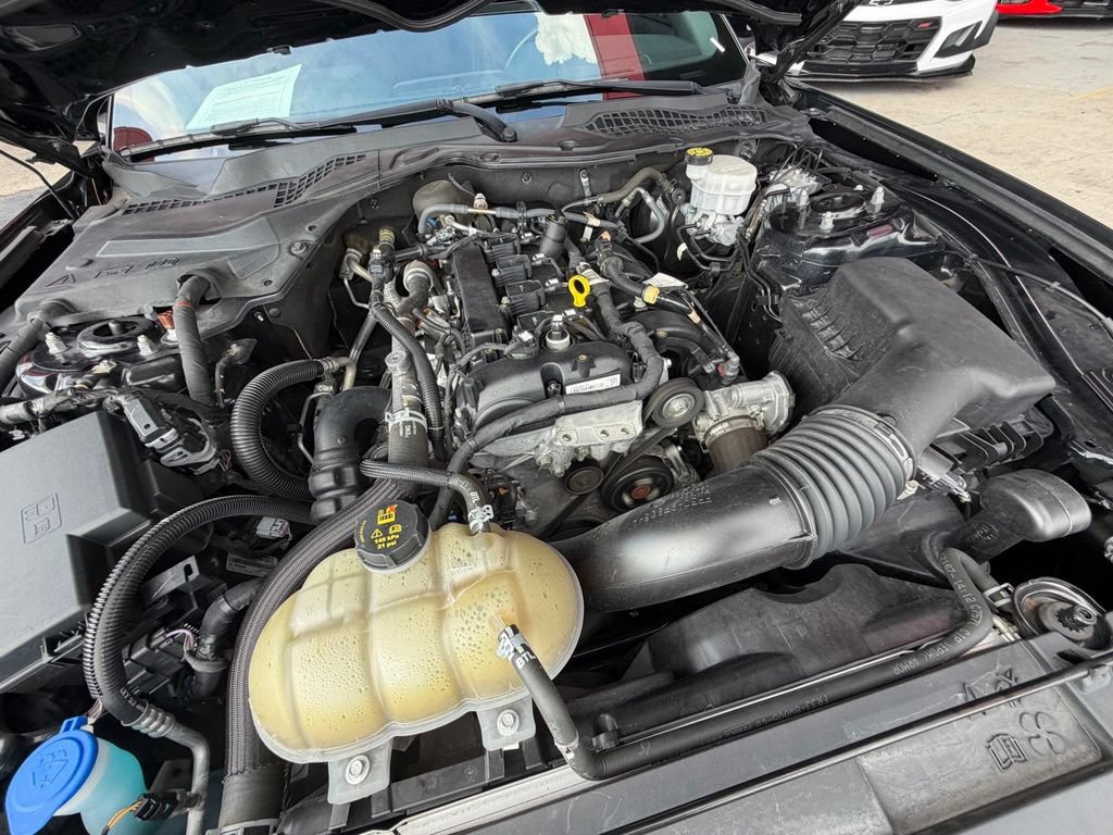 Used 2021 Ford Mustang Coupe RWD image 6