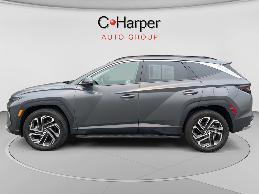 Used 2025 Hyundai Tucson Limited AWD/4WD image 6