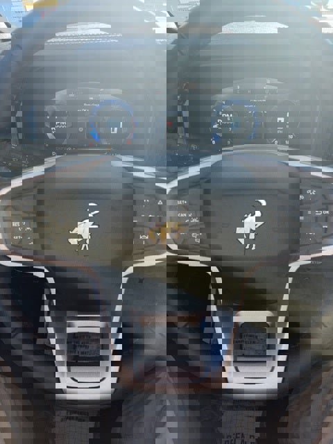 New 2025 Ford Bronco Badlands image 29