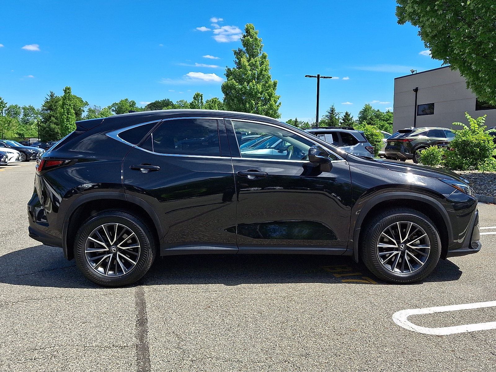 Certified 2024 Lexus NX 350h AWD image 8