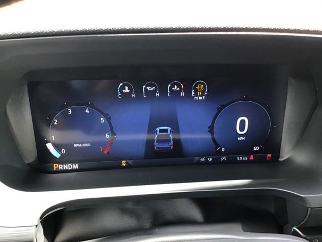 New 2025 Ford F150 STX w/ Equipment Group 200A image 15