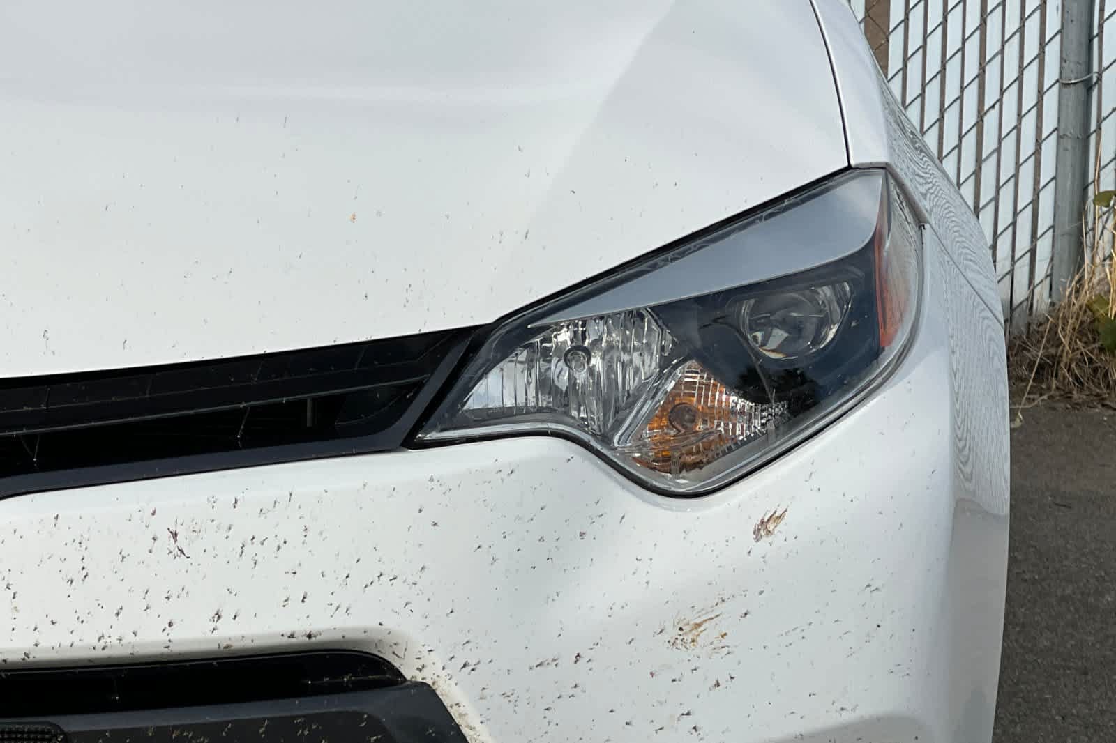 Used 2016 Toyota Corolla LE FWD image 14